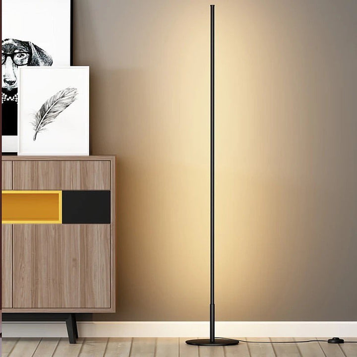 Minimalist LED Floor Lamp