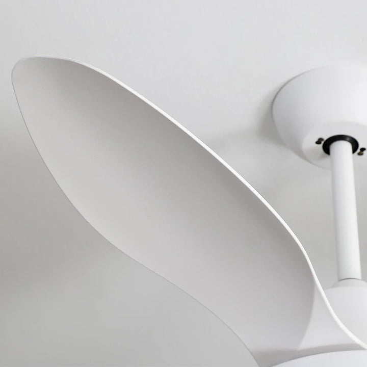 Modern White Ceiling Fan