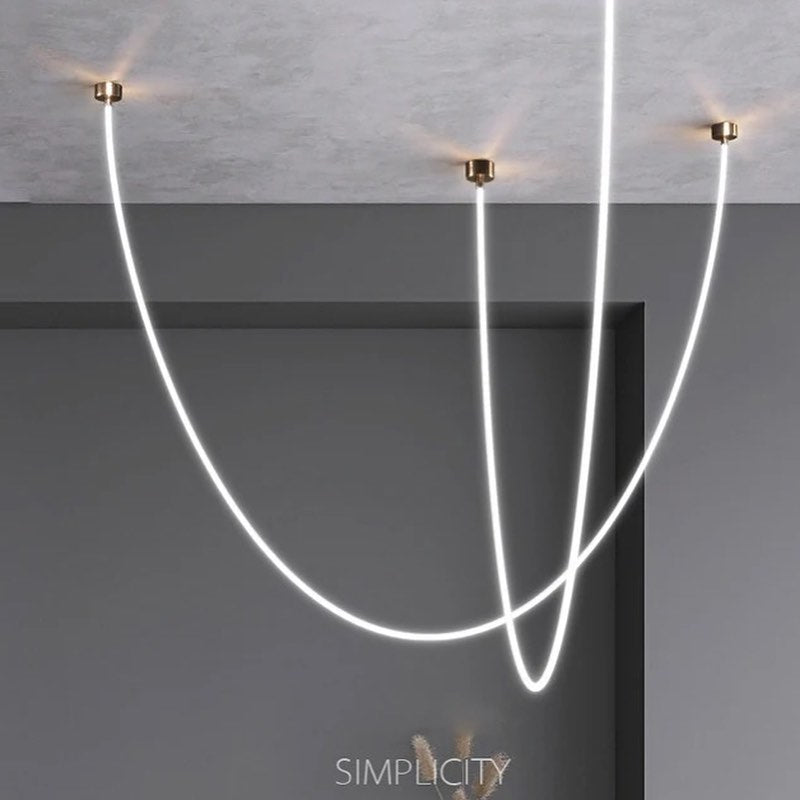 Artistic Curved LED Ceiling Light