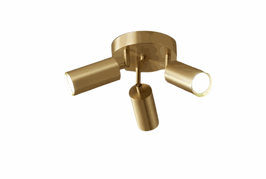 Spotlight Ceiling LampGold finish spotlight for targeted lighting in h ...