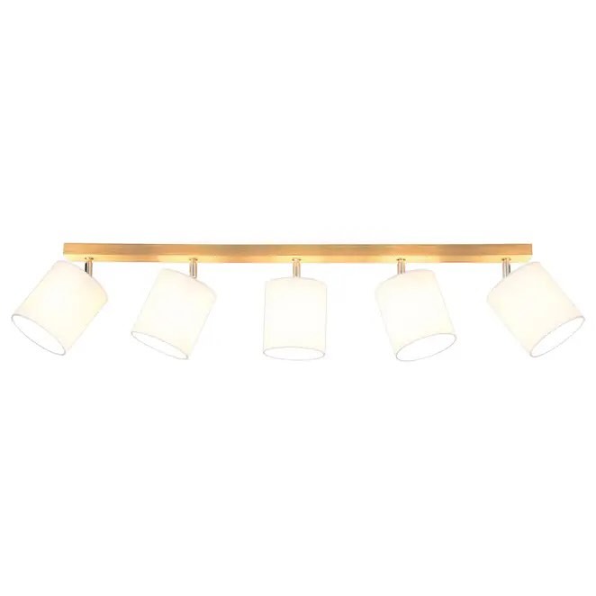 Elegant Track Lighting with Shades