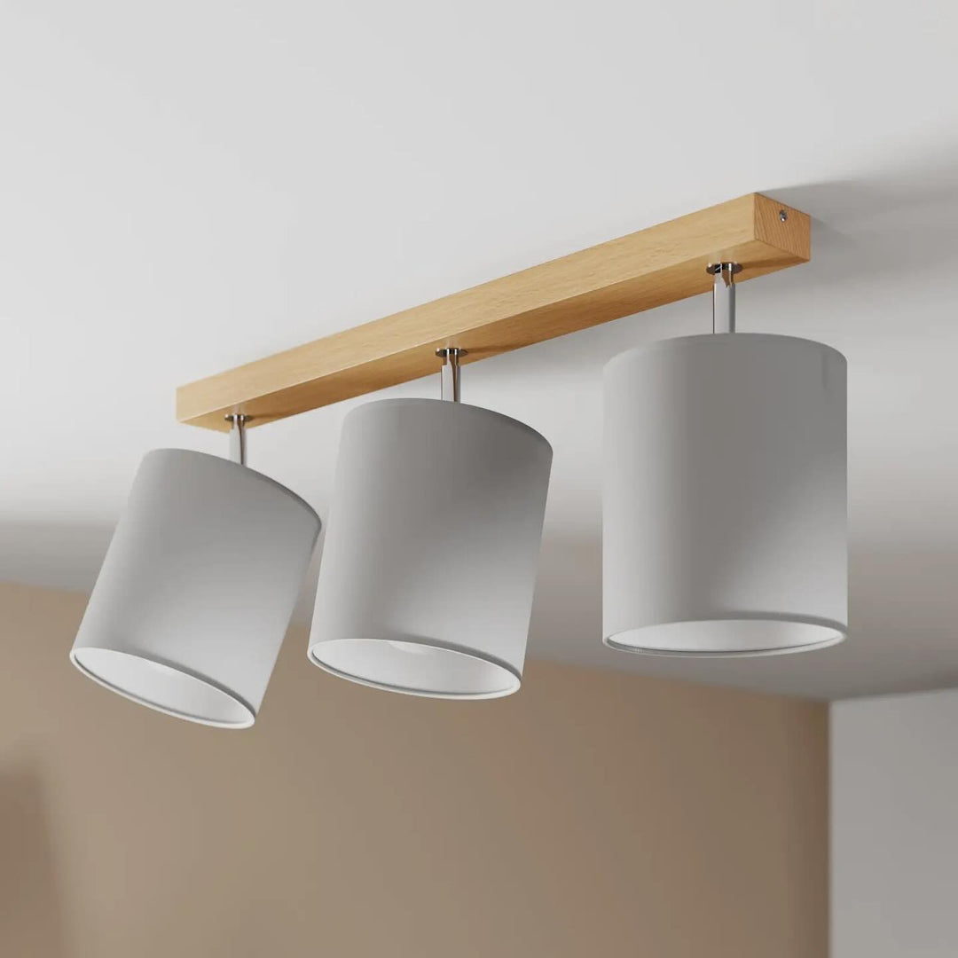 Elegant Track Lighting with Shades