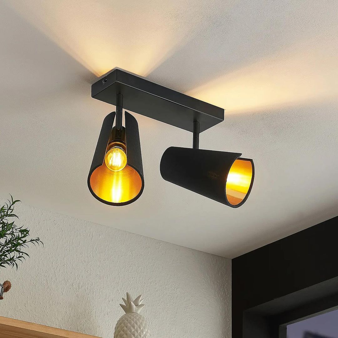 Contemporary Ceiling Light