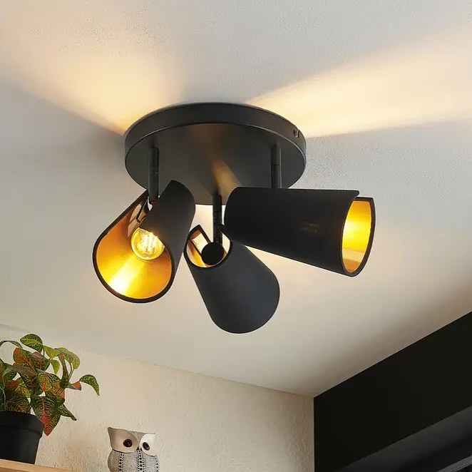 Contemporary Ceiling Light