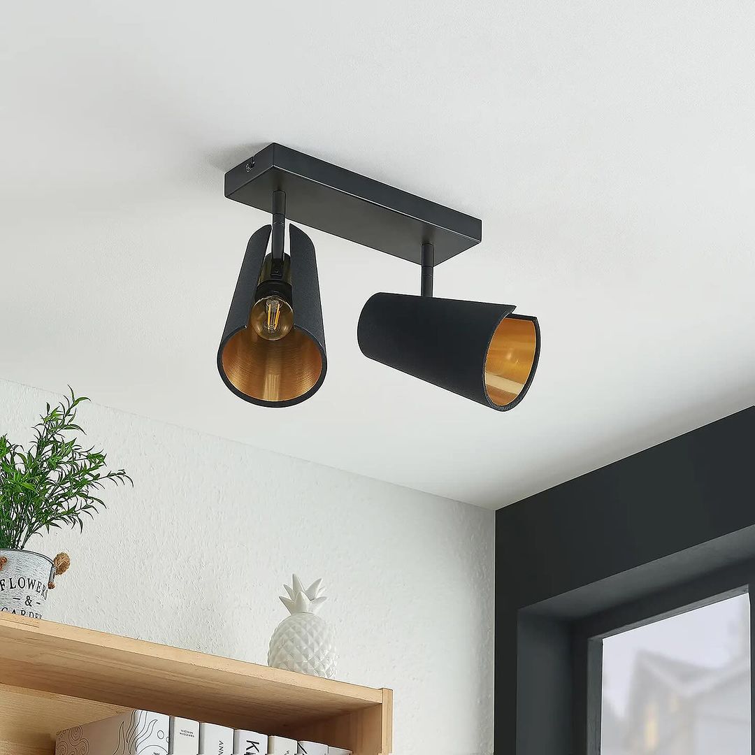 Contemporary Ceiling Light