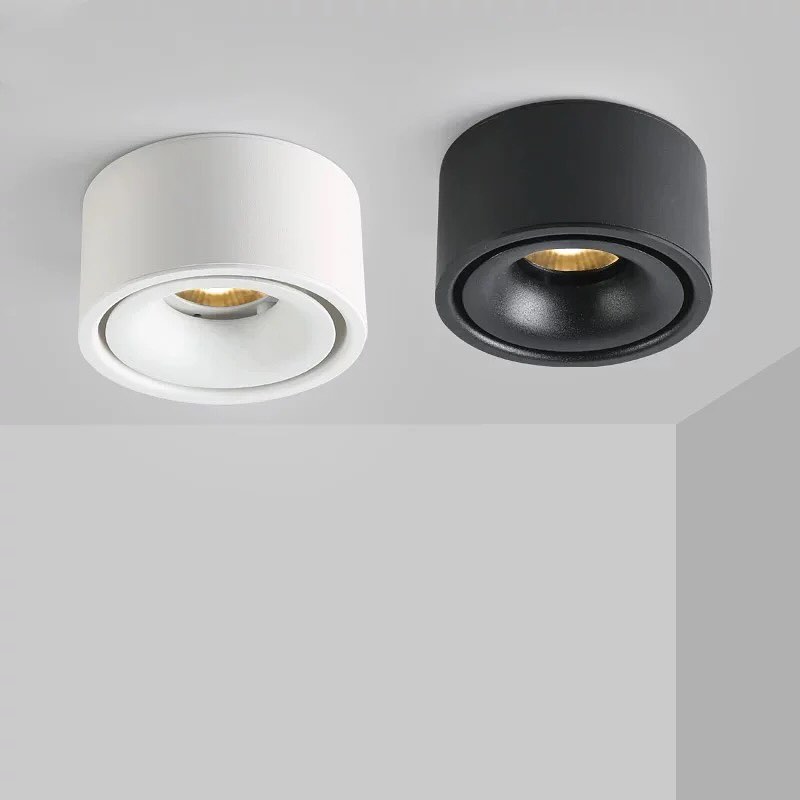 Surface Mounted Ceiling Lights - Black & White