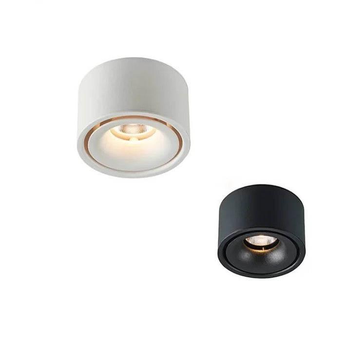 Surface Mounted Ceiling Lights - Black & White