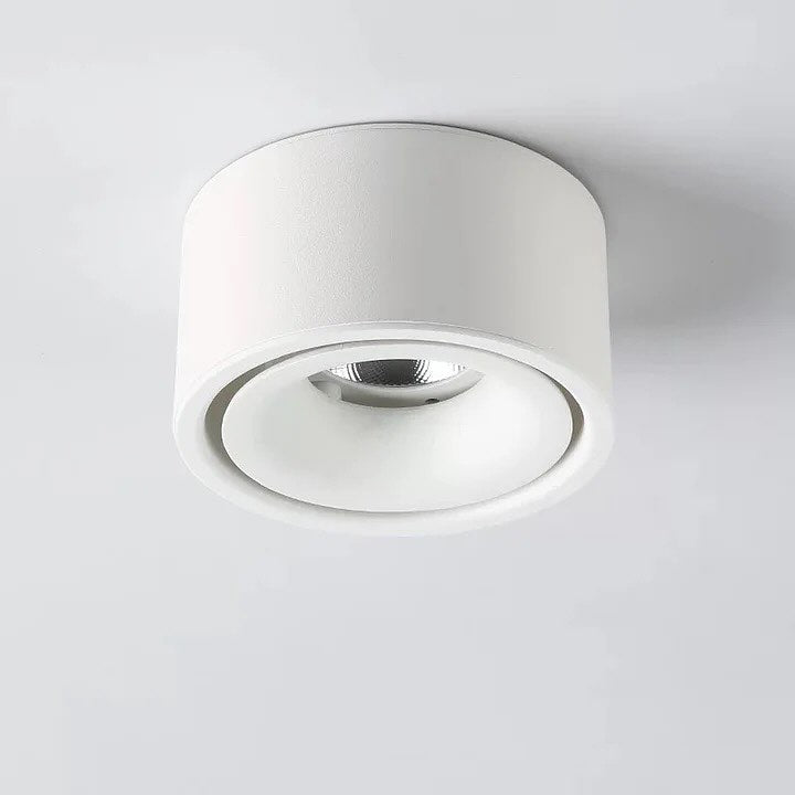 Surface Mounted Ceiling Lights - Black & White