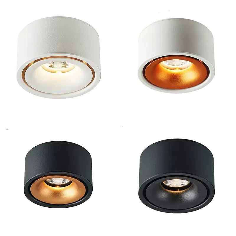 Surface Mounted Ceiling Lights - Black & White