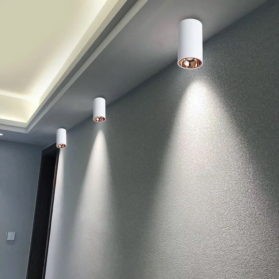 Modern Cylindrical Downlights