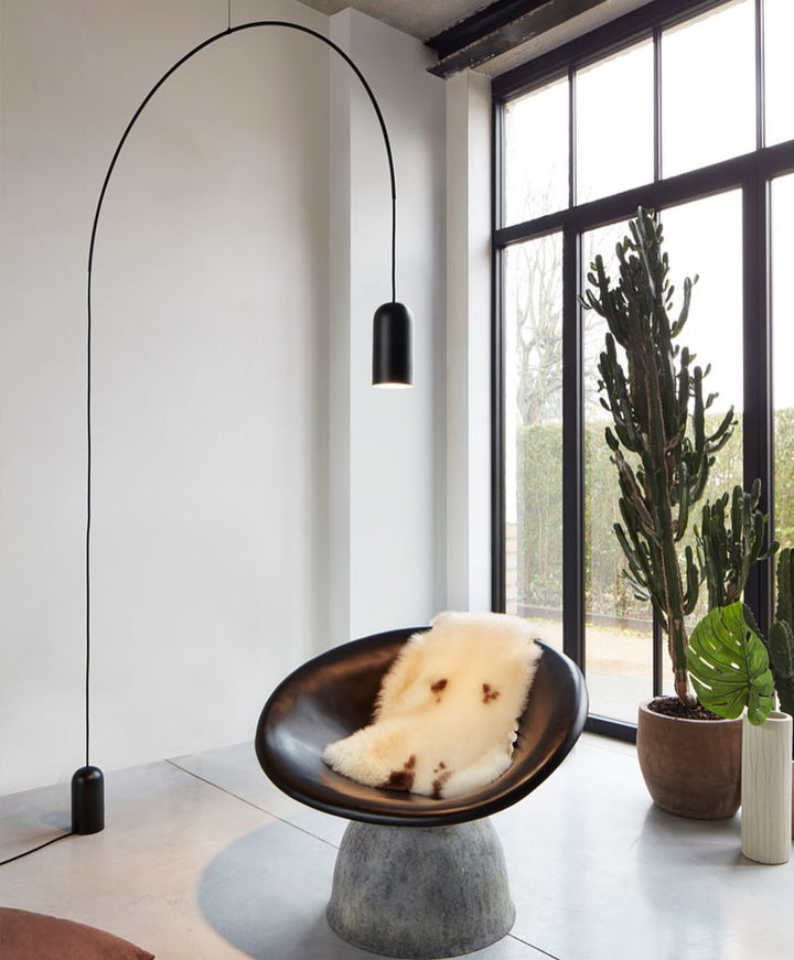 Arched Pendant Light & floor lamp