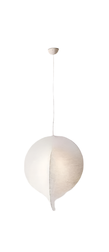 Modern Organic Pendant Light