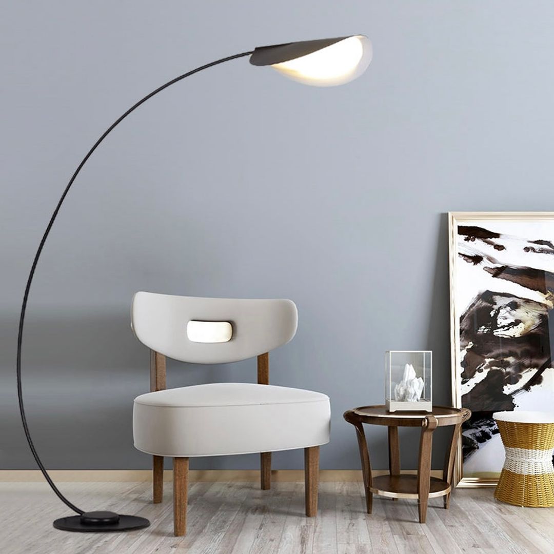 Modern Arc Floor Lamp with Black Finish