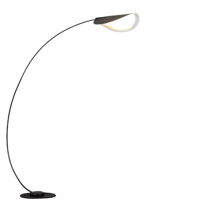 Modern Arc Floor Lamp with Black Finish