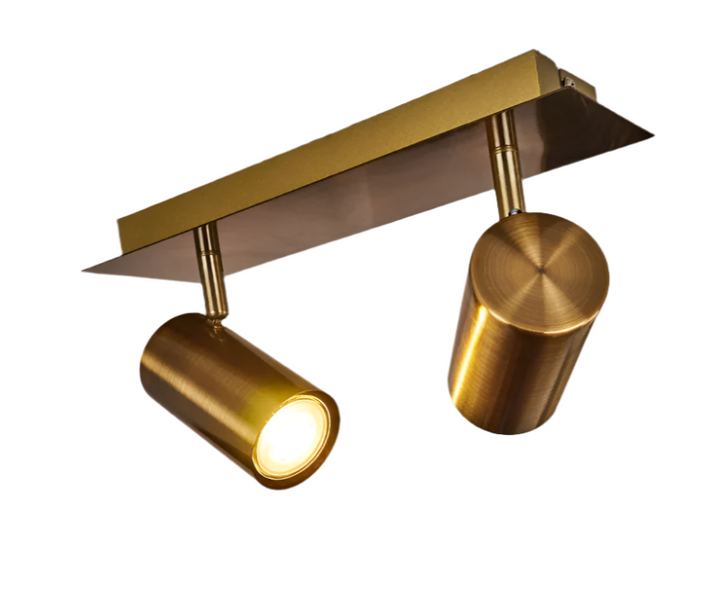 Modern Golden Metallic Ceiling Spotlight