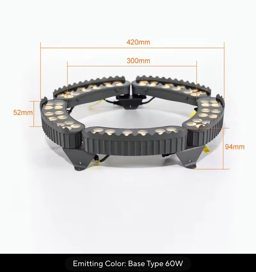 Outdoor Tree Ring Light