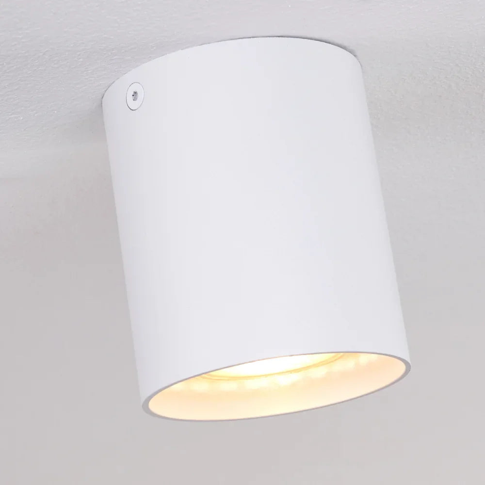 Modern White Cylinder Ceiling Spotlight