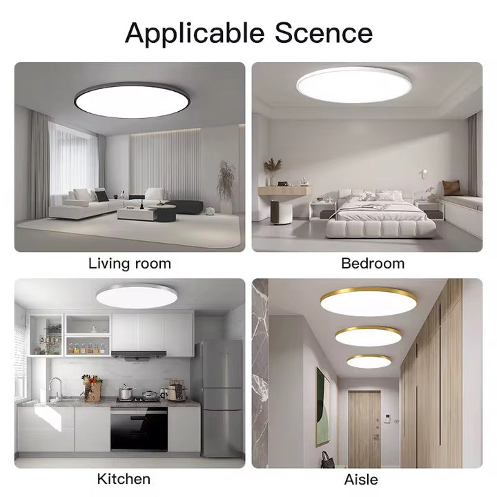 Minimalist Ceiling LED Light - in 4 COLORS