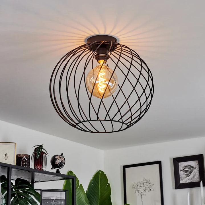 Industrial Wire Cage Ceiling Light