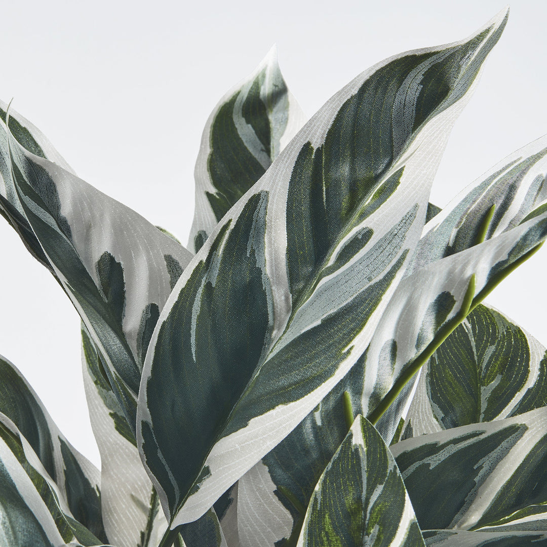 Artificial Variegated Calathea Plant