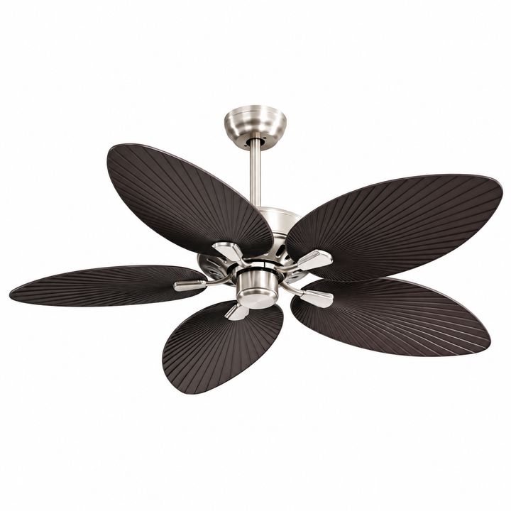 Modern Black Five-Blade Ceiling Fan Fixture