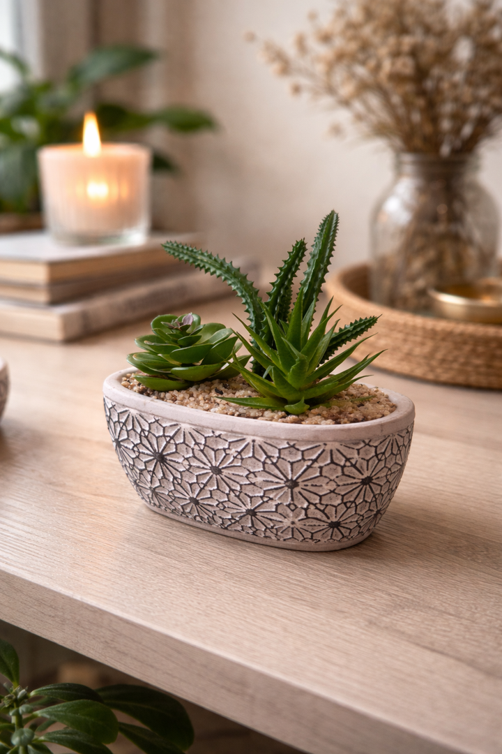 Faux Succulent in Patterned Oval Pot in 3 models