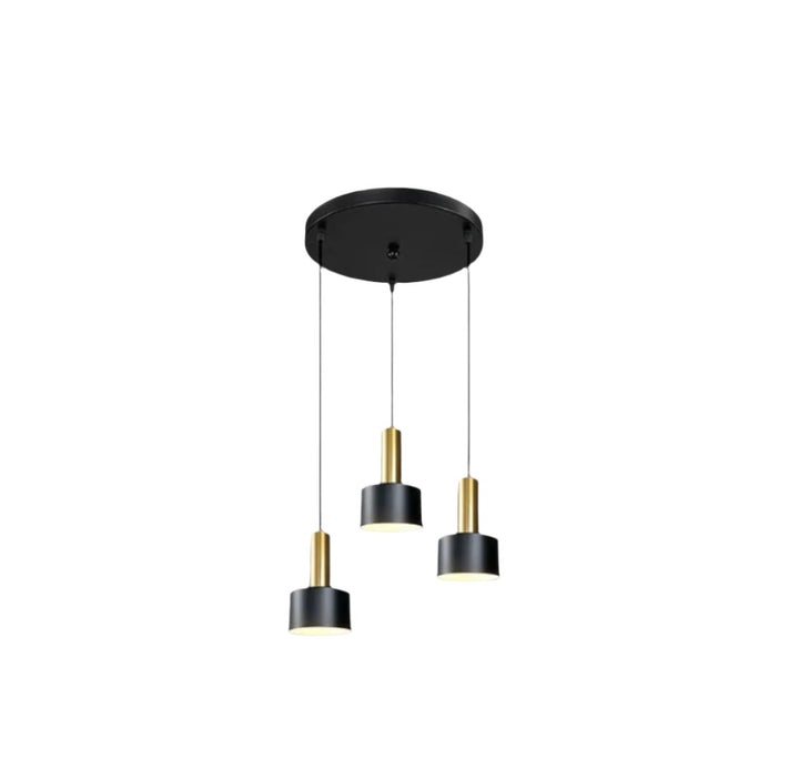 Black and Gold Pendant Light