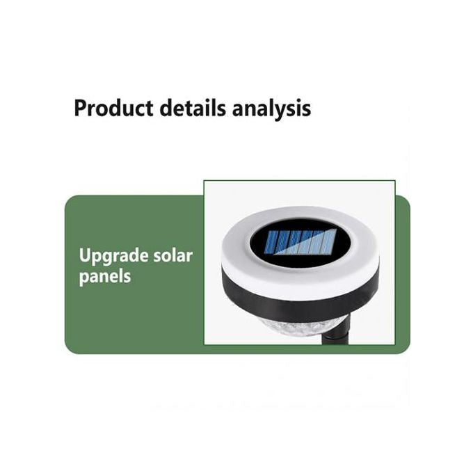 Solar Outdoor Light Set – Stake and Wall-Mounted