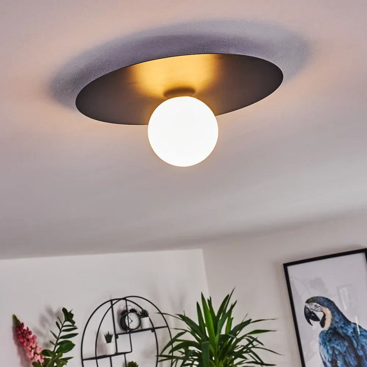 Modern Globe Ceiling Light with Black Disc Design