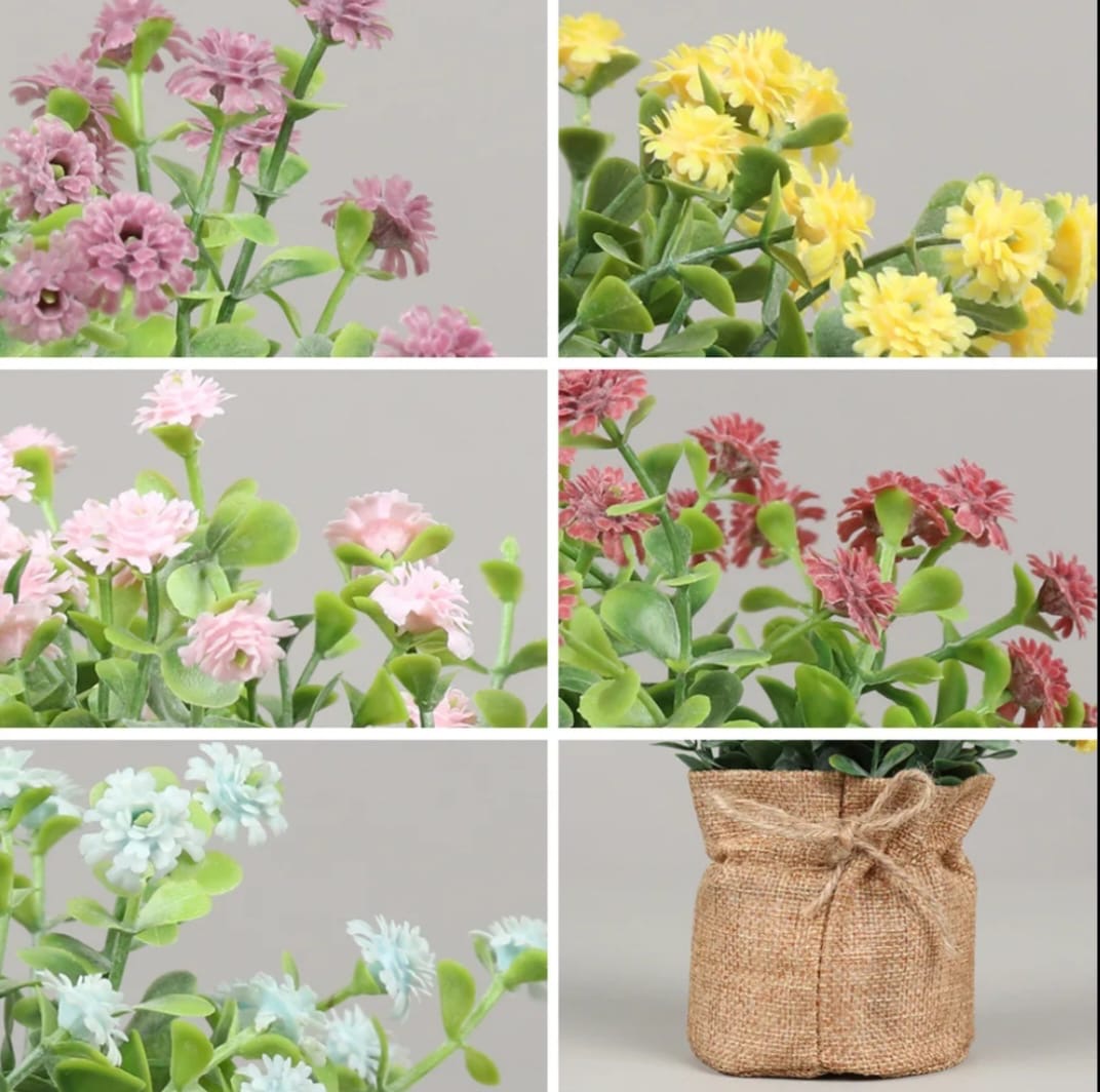 Yellow Potted Accent Plant set of 4 colors