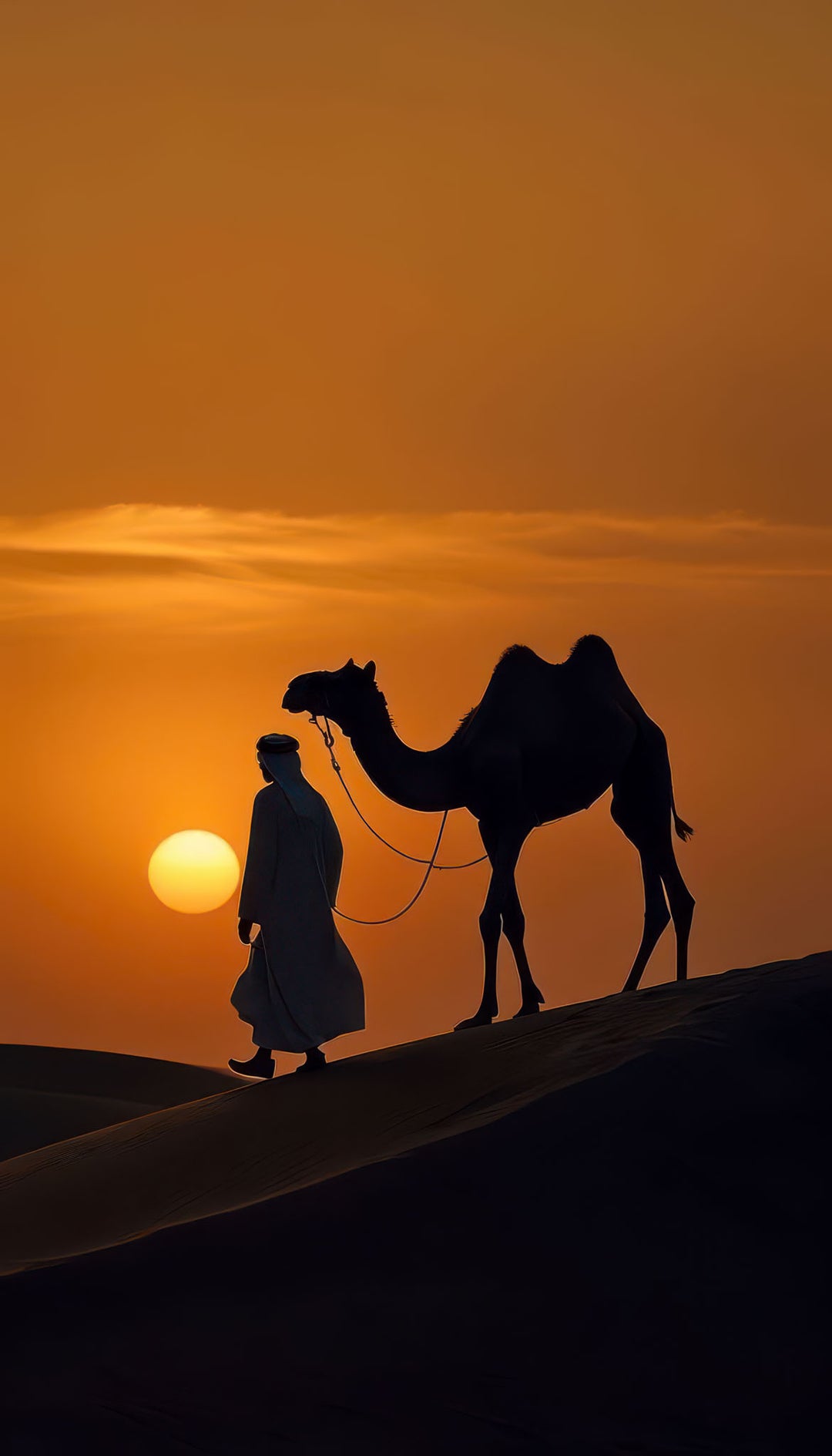 Desert Camel Canvas wall art with MDF frame and glass front panel