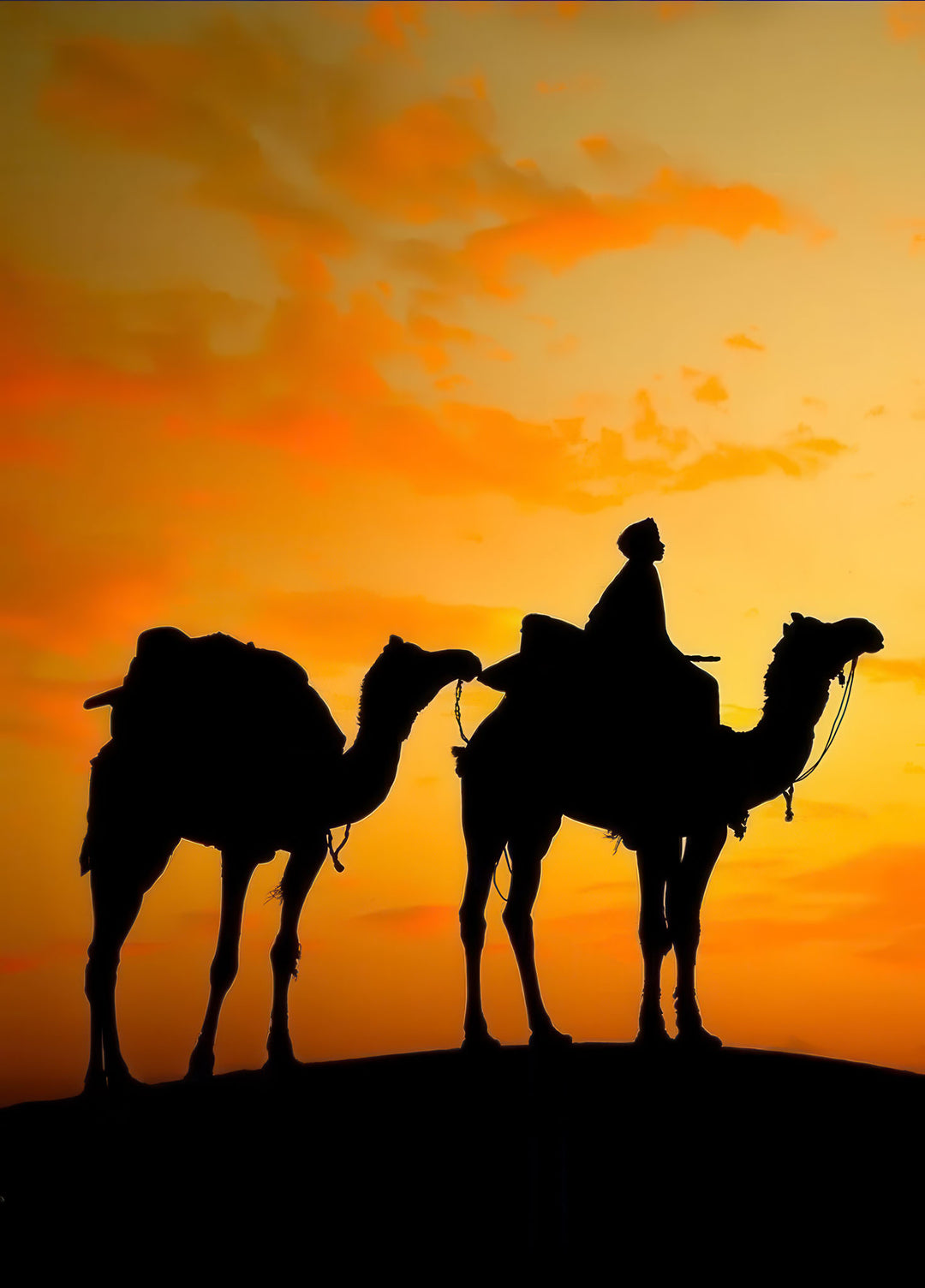 Camel caravan silhouetted against a glowing sunset on premium canvas with MDF frame and glass front.