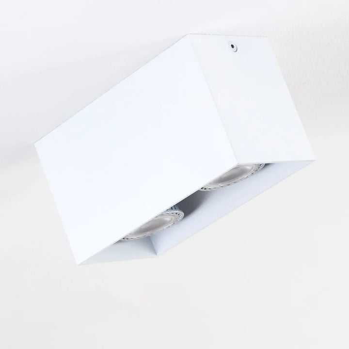 Modern Dual White Rectangular Ceiling Spotlight