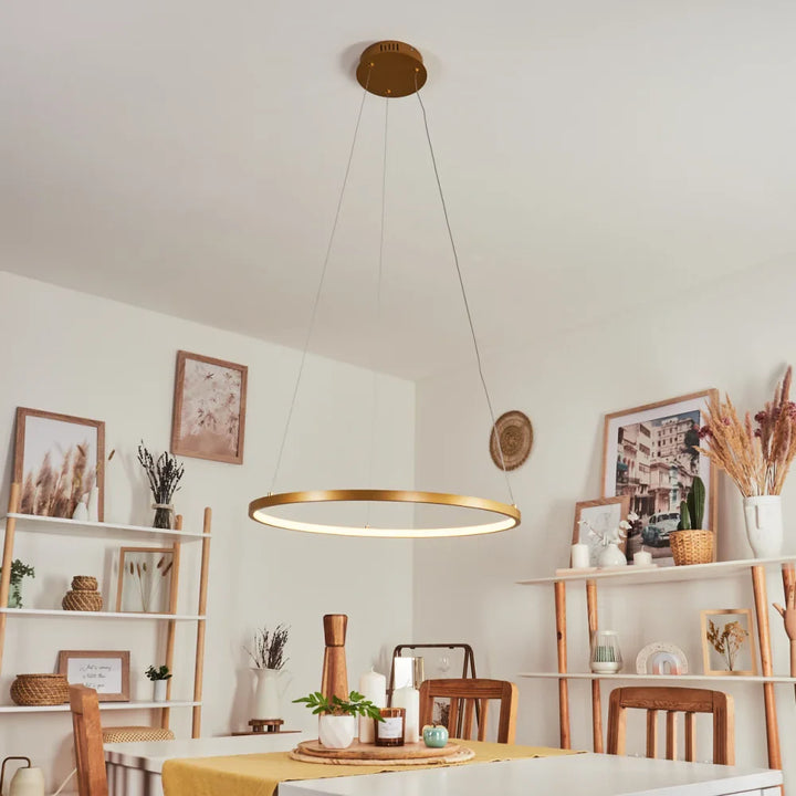 Modern Circular LED Pendant Light