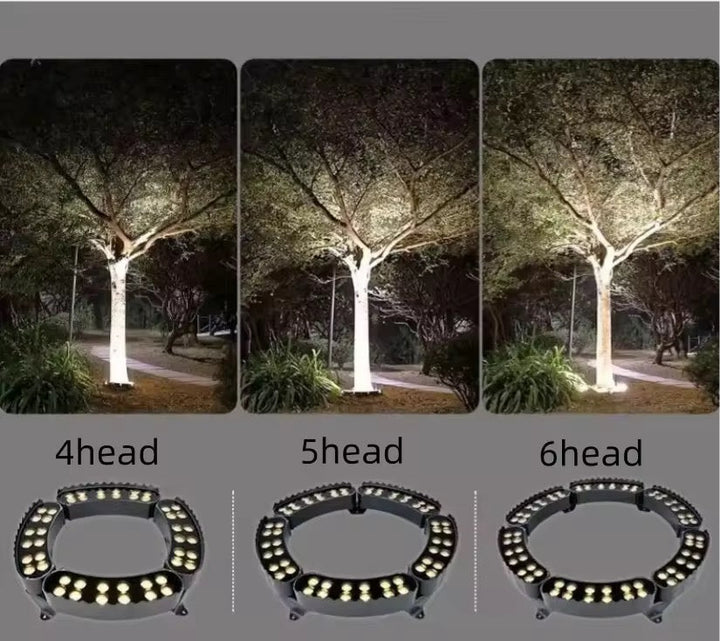 Outdoor Tree Ring Light