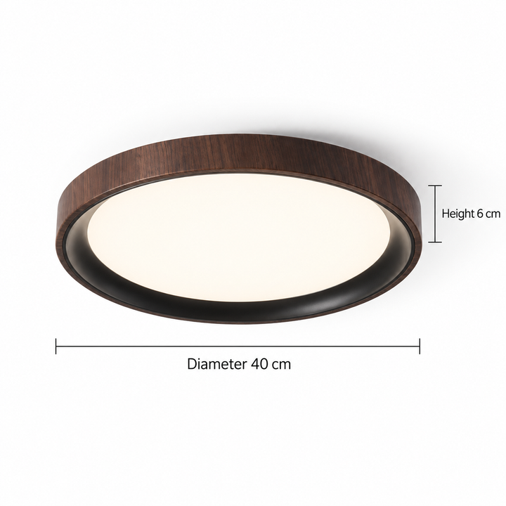 Modern Two-Tone Circular Ceiling Light