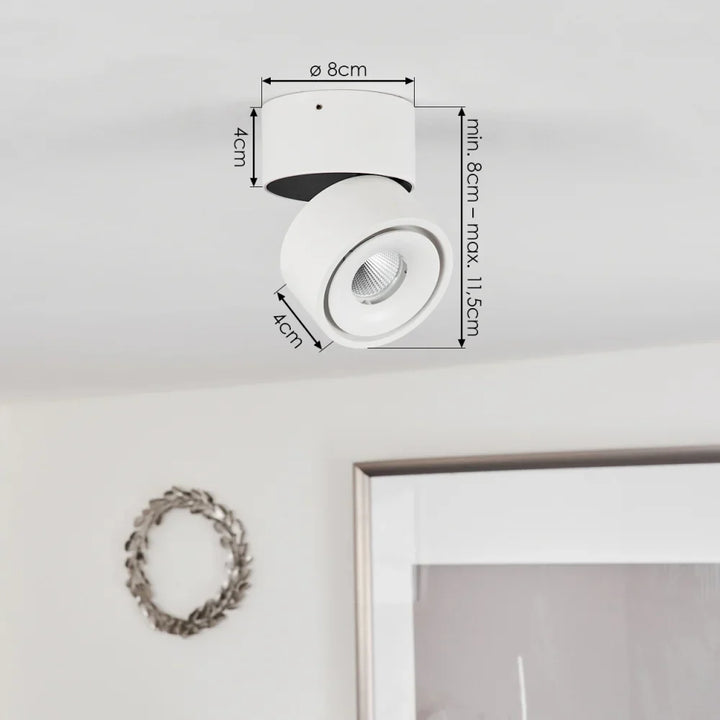 Modern Adjustable LED 20W Ceiling Spotlight