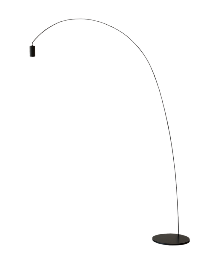 Minimalist Arched Floor Lamp in Black Finish