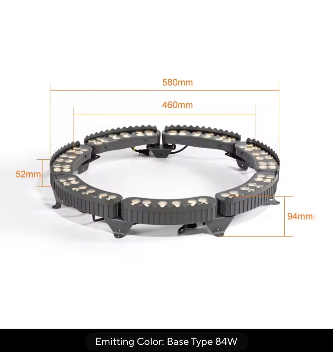 Outdoor Tree Ring Light