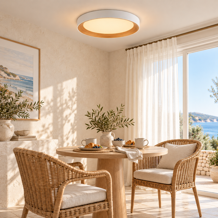 Modern Two-Tone Circular Ceiling Light