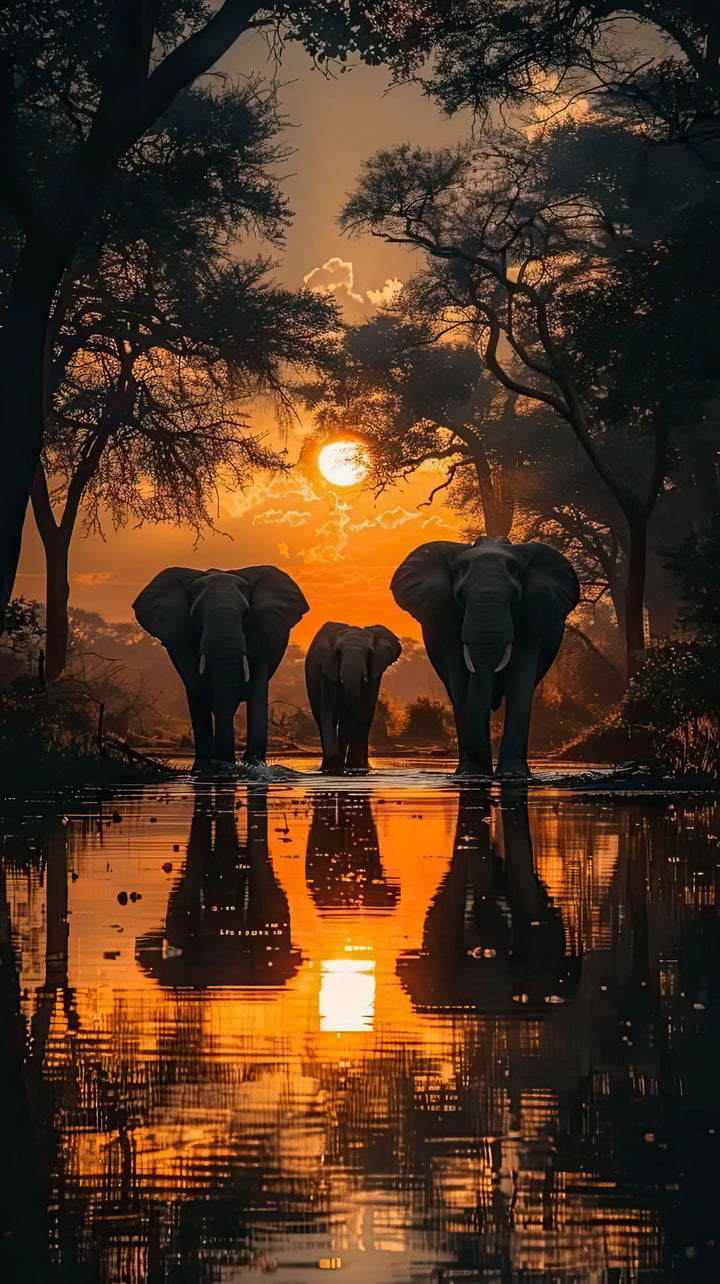 Wadi Home African Sunset Elephant Gathering wall art features a herd of elephants at sunset reflected in water. Vibrant oranges and purples.