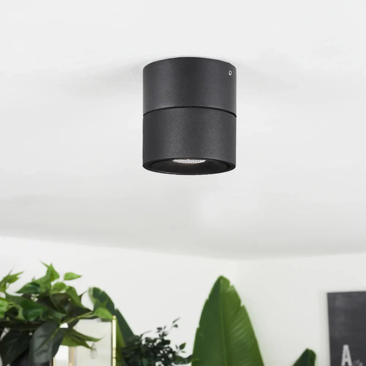 Adjustable Black 20W LED Ceiling Spotlight