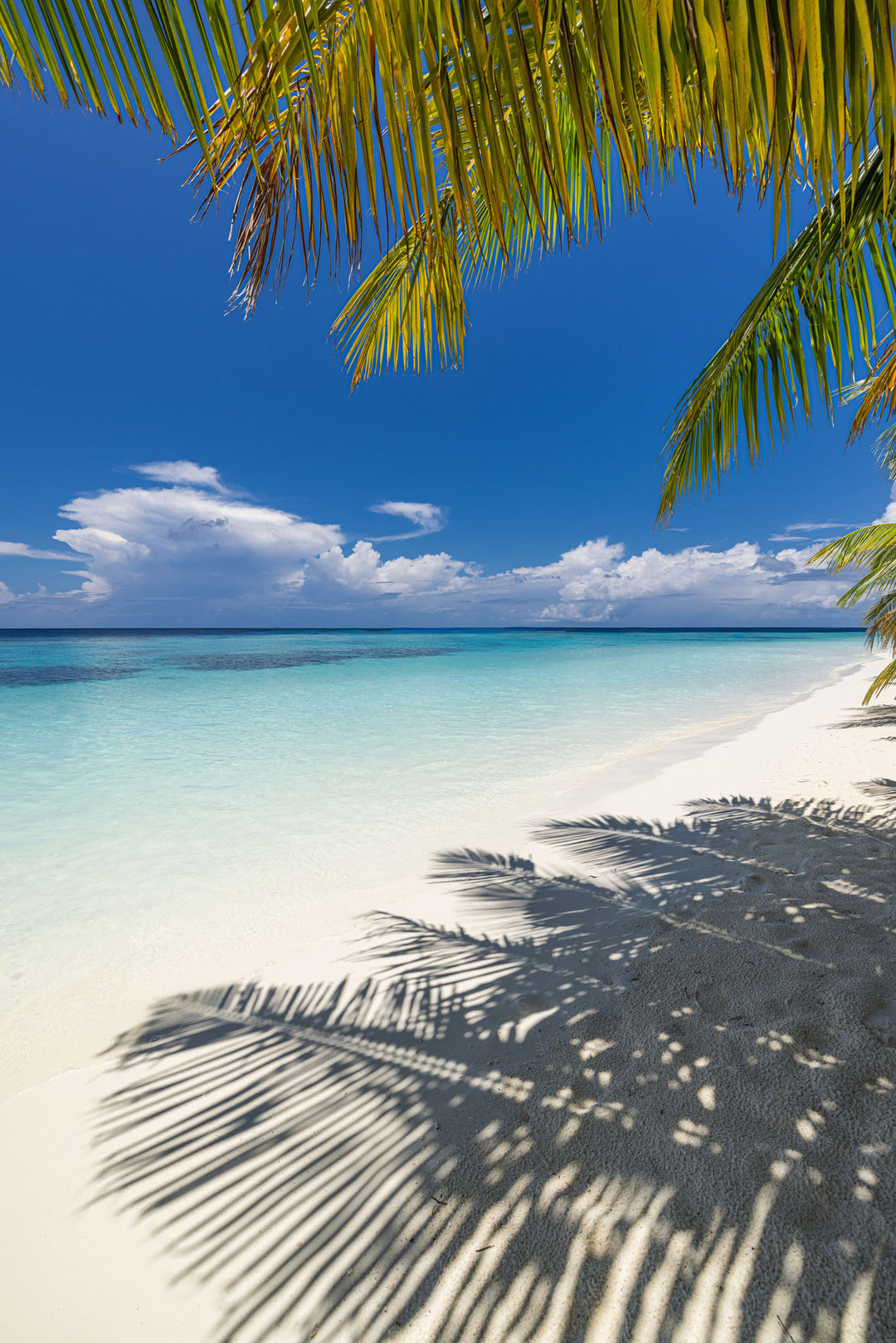 Wadi Home tropical beach wall art with palm tree shadows on white sand and turquoise water under a blue sky.
