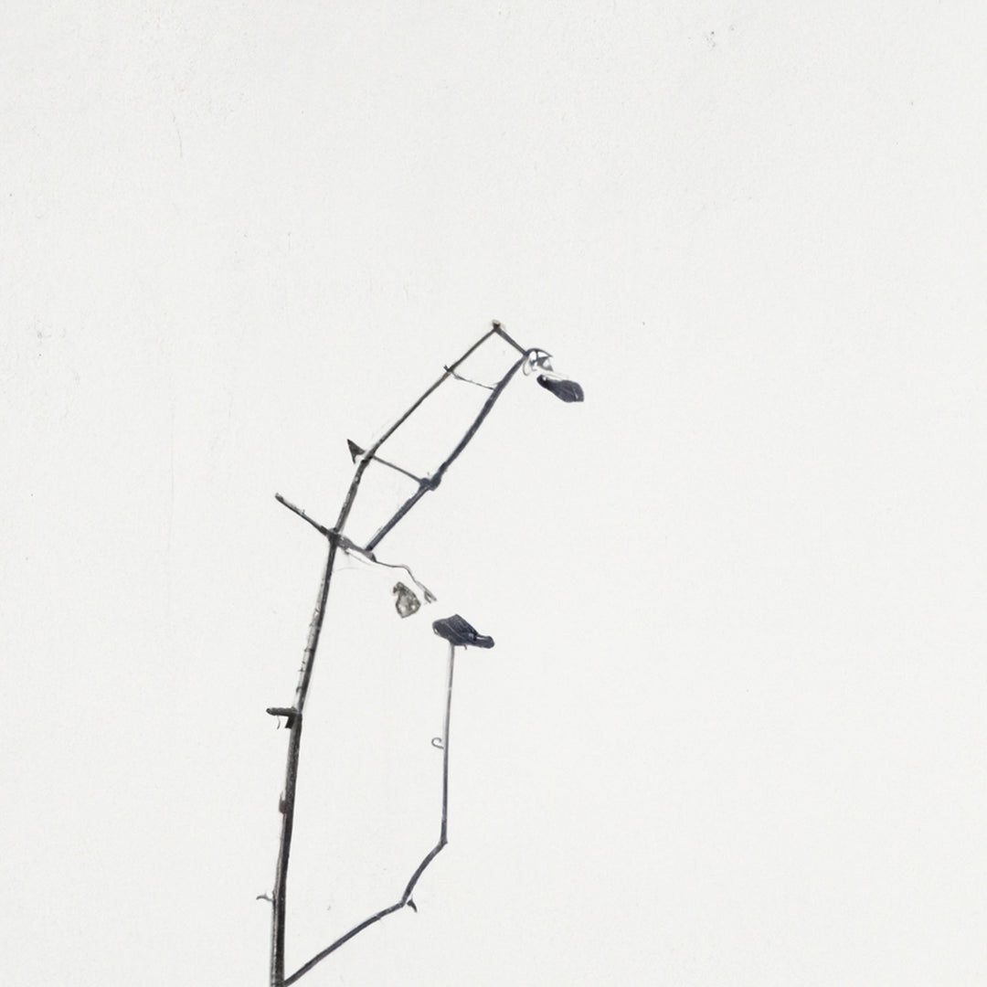 Wadi Home minimalist framed art print of a delicate black branch with small buds against a white background.