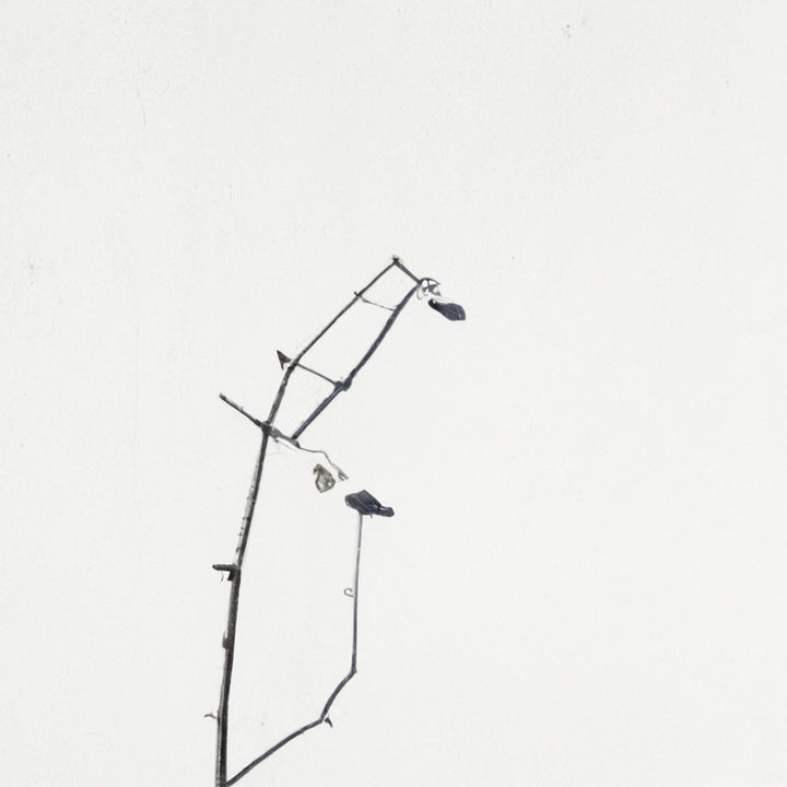 Wadi Home minimalist framed art print of a delicate black branch with small buds against a white background.