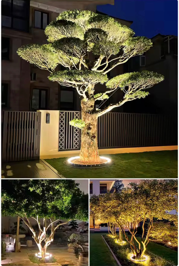 Outdoor Tree Ring Light