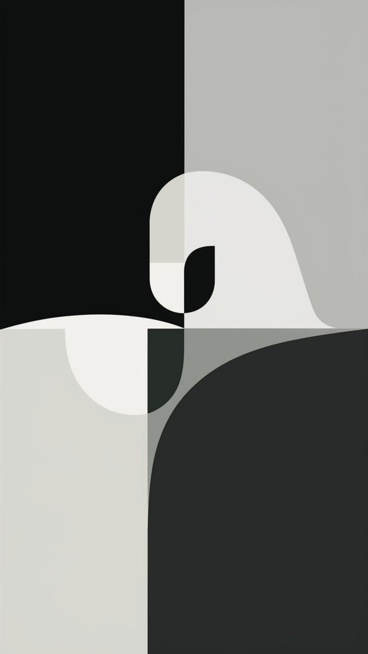 Wadi Home abstract geometric swan wall art in black, white, and grey. Modern minimalist canvas print.