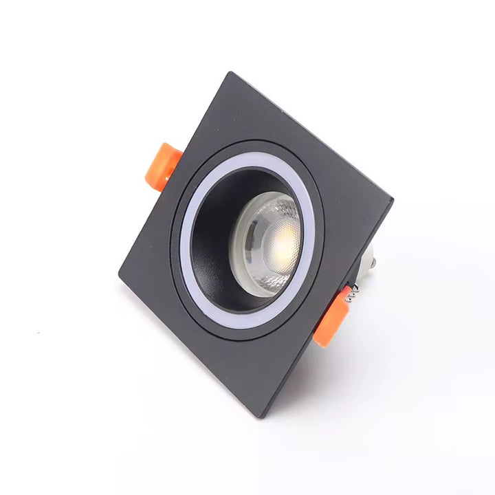 Dual Adjustable Spotlight Frame