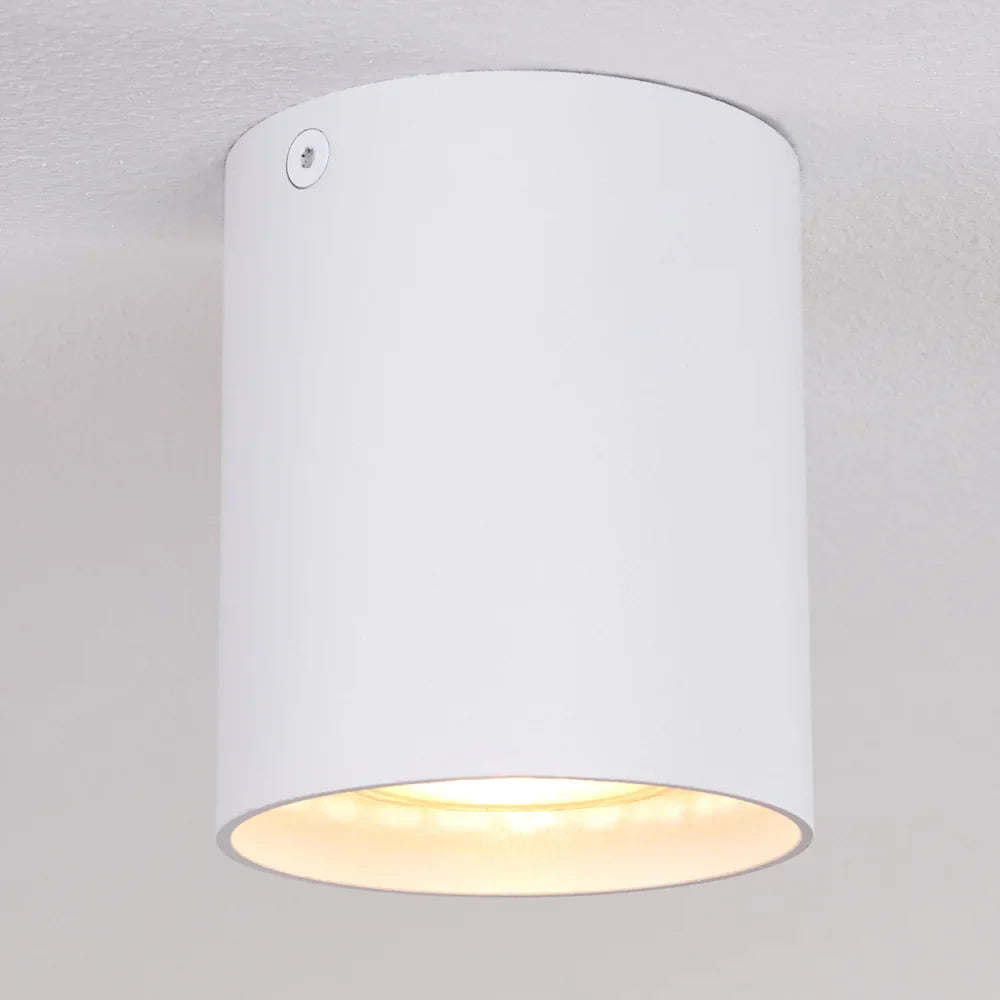 Modern White Cylinder Ceiling Spotlight