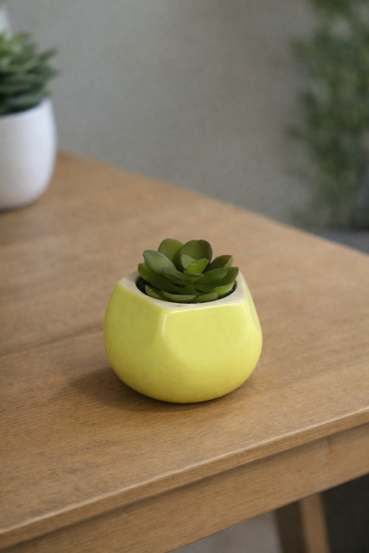 Mini Faux Succulent Trio Lime Ceramic Pots (set of 3 )